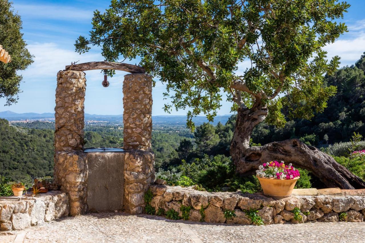Hotel Albellons 4*
